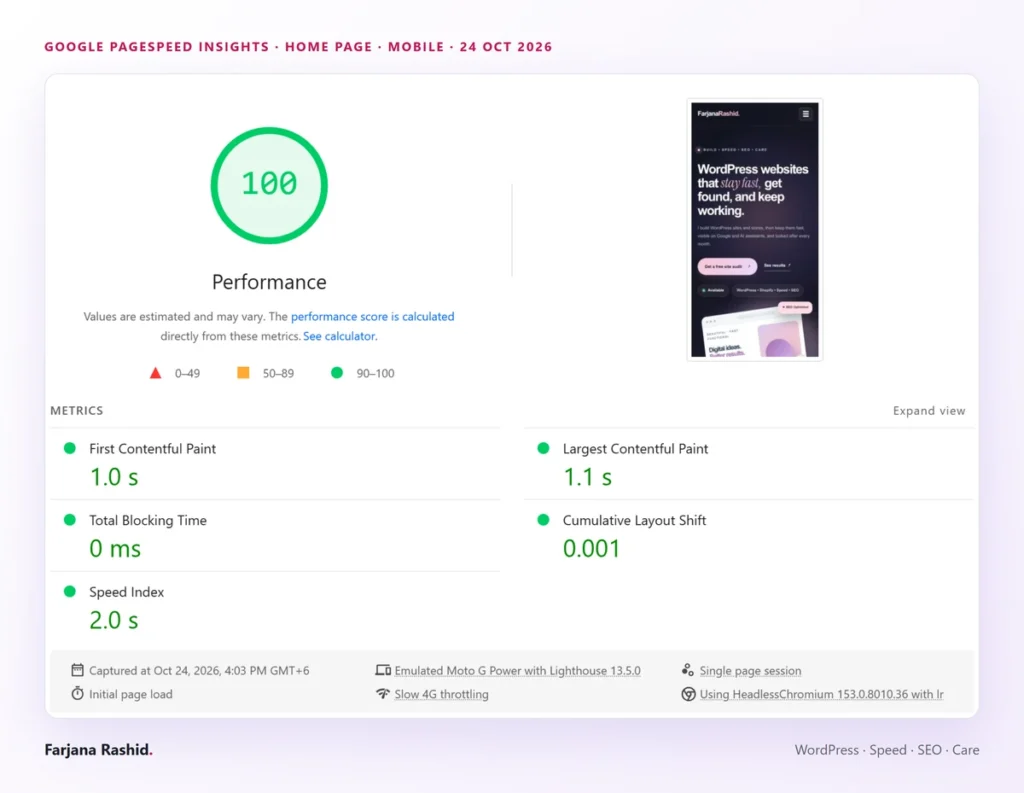 Google PageSpeed Insights, mobile: Performance 100, First Contentful Paint 1.0 s, Largest Contentful Paint 1.1 s, Total Blocking Time 0 ms, Cumulative Layout Shift 0.001, Speed Index 2.0 s